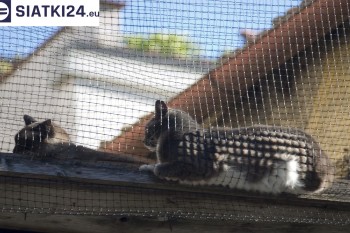 Siatki Hrubieszów - Siatka na balkony dla kota i zabezpieczenie dzieci dla terenów Hrubieszowa