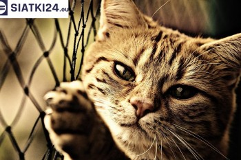 Siatki Hrubieszów - Siatki na balkony - zabezpieczenie dzieci i zwierząt dla terenów Hrubieszowa